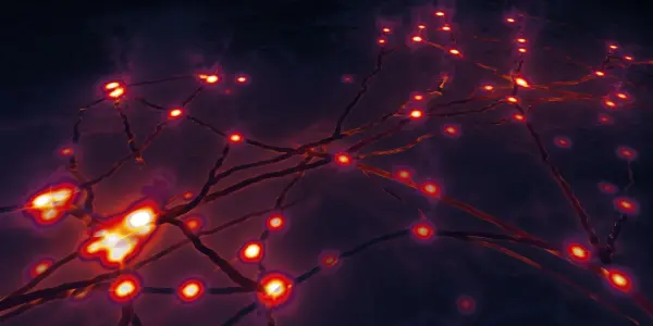 Tempo Method Limits System Size Impact with Reduced Network Dimensions