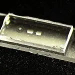Tiny Vibrations Expand Quantum Memory, ETH Zurich Researchers Find