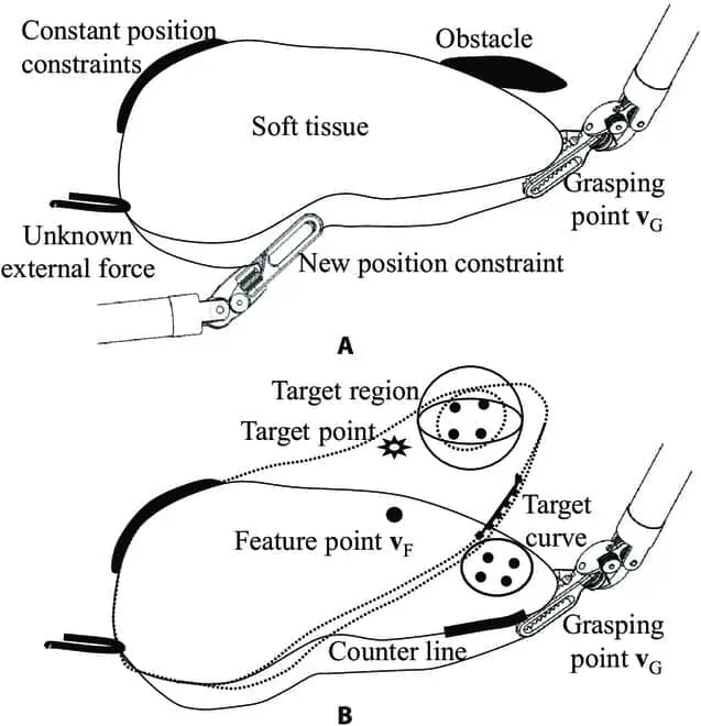 Intuition-Guided Reinforcement Learning Advances Soft Tissue Manipulation in Robotic Surgery