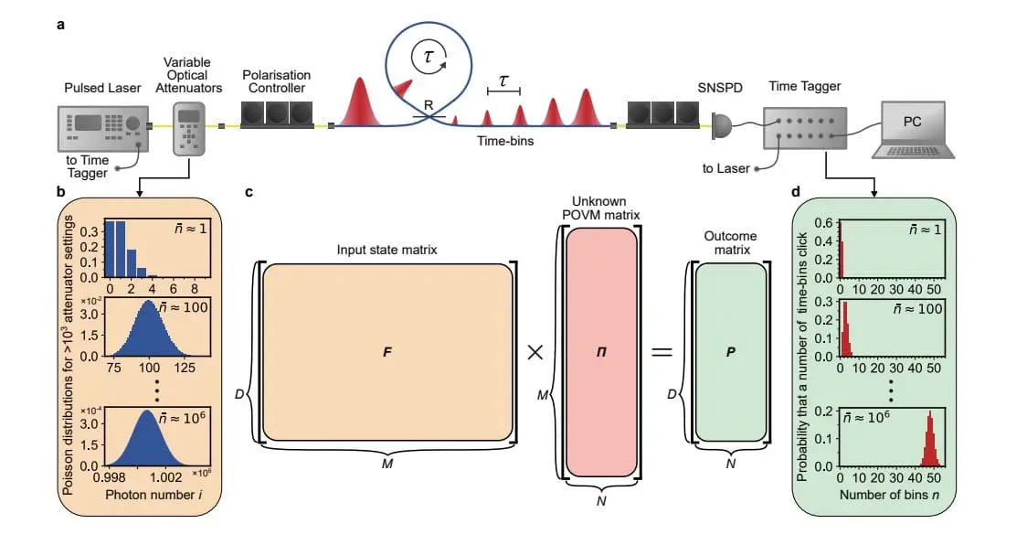 High-Performance Computing Enhances Quantum Detector Tomography, Aids Large-Scale Quantum Tasks
