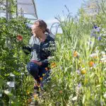 Monika Egerer is a professor of Urban Productive Ecosystems. Her research project, GardeningResilience, will receive fun
