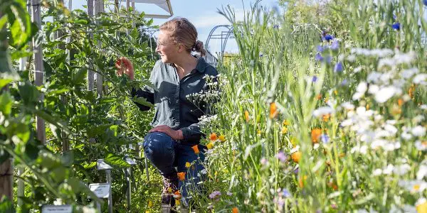 Monika Egerer is a professor of Urban Productive Ecosystems. Her research project, GardeningResilience, will receive fun