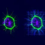 Twisted Materials Confine Electrons, Creating New Optical Properties