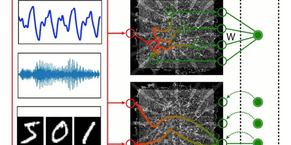 Adam Stieg/UCLA This schematic shows two ways to process data with an emerging computing platform — nanowire networks th