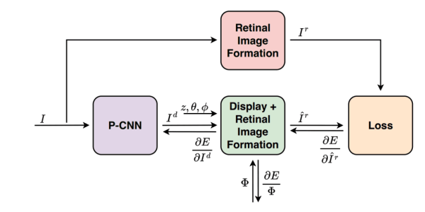 Block diagram of a computational imaging pipeline with P-CNN, display and retinal image formation modules, and loss feedback for optimizing visual output.
