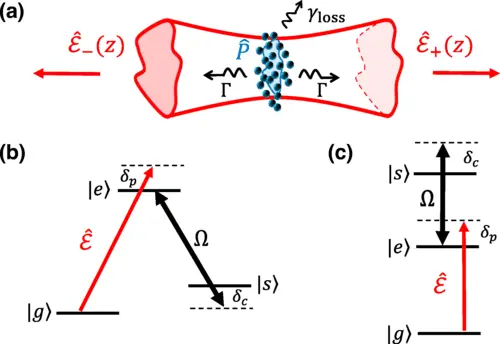 Weizmann Institute Scientists Develop Universal Approach for Quantum Interfaces