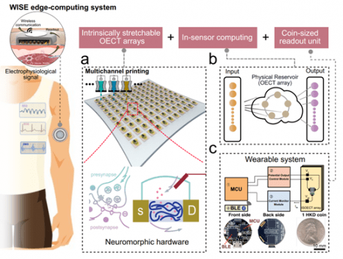 HKU Team Develops Wearable AI Tech for Digital Health Monitoring