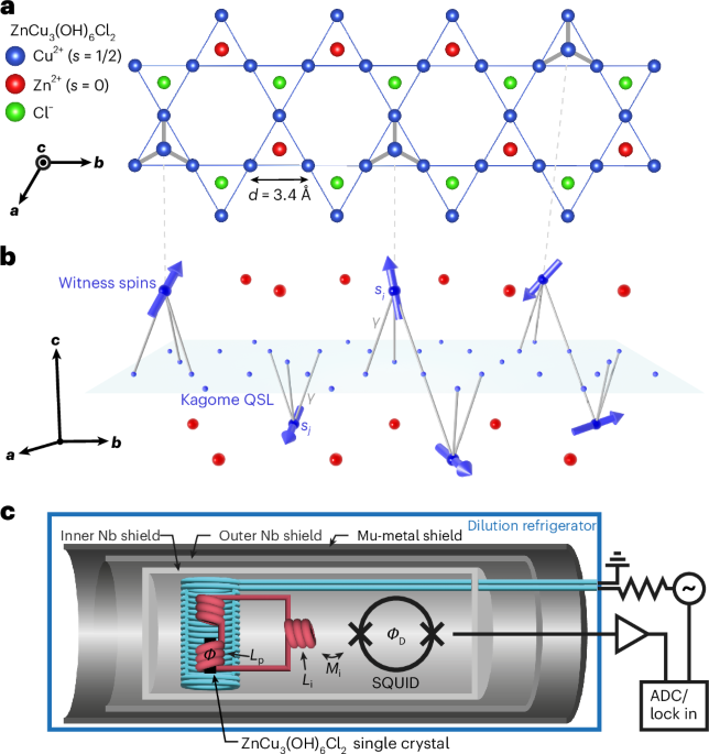 Witness Spins Transition to Spin Glass Phase at 260 Millikelvin