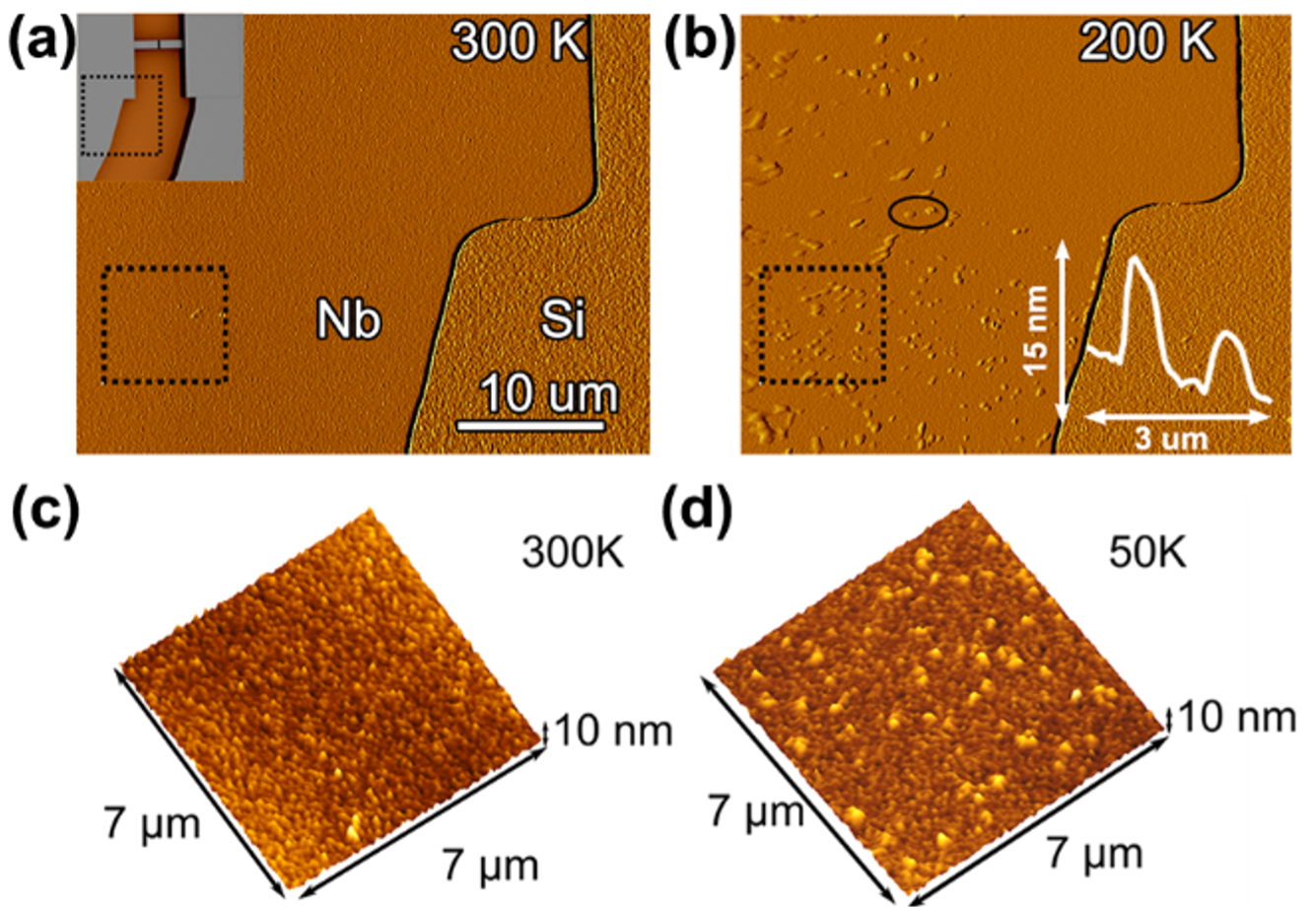 X-Ray Data Confirms Niobium Hydrides Limit Qubit Stability