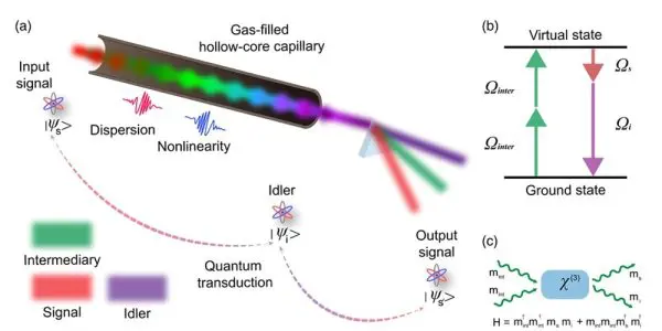 Scientific diagram of quantum light transduction in a gas-filled hollow-core capillary, showing signal-to-idler waveleng