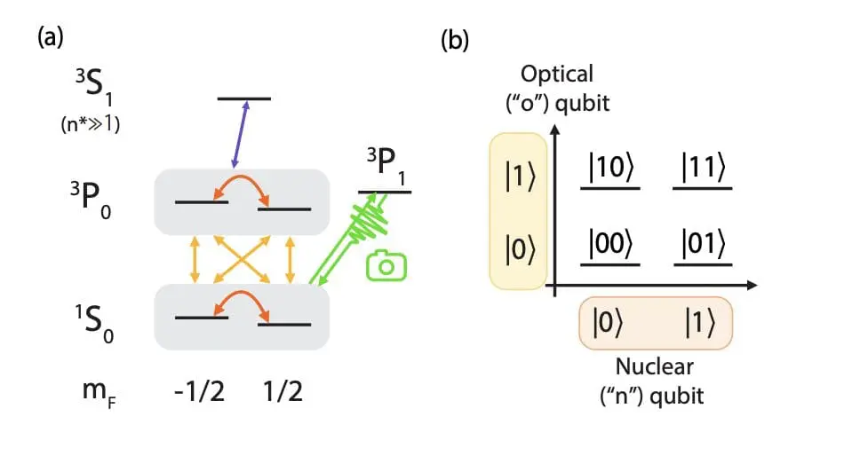 Revolutionizing Quantum Computing: New Two-Qubit Encoding Architecture in Ytterbium-171 Atoms