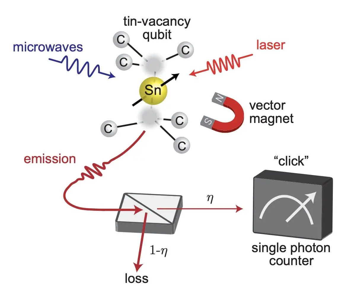 Tin-Vacancy Qubit in Diamond: A Promising Platform for Advancing Quantum Networks