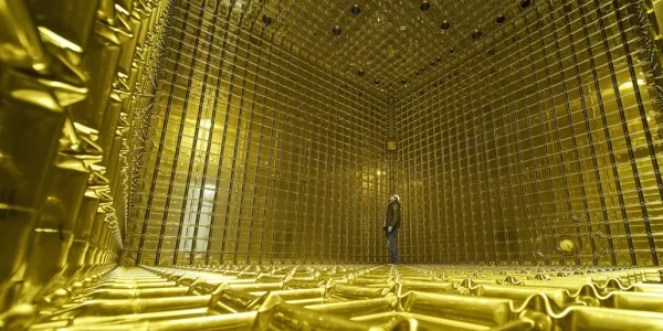 Neutrino Force Skirts Standard Model