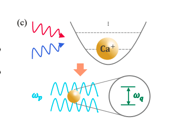 Trapped-ion System Demonstrates Timelike Unruh Effect, Enabling Laboratory Tests of Quantum Vacuum Dynamics