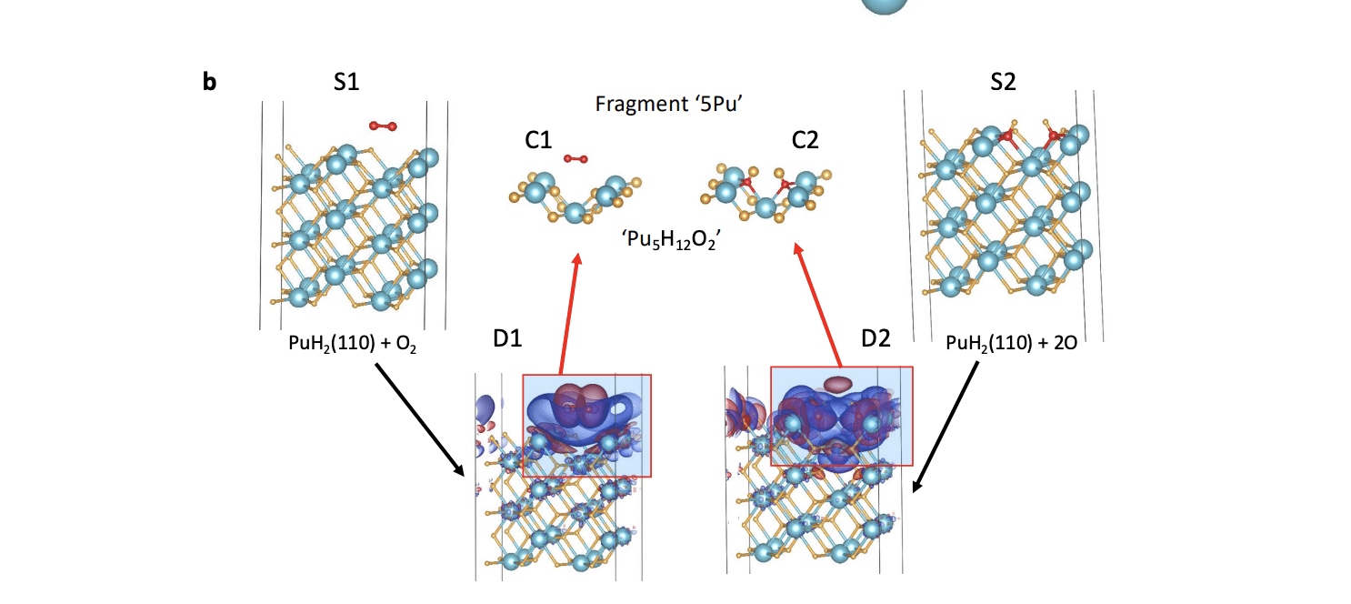 Quantum Simulation of Actinide Chemistry Achieves Scalable Algorithms on Trapped Ion Quantum Computers with 19 Qubits