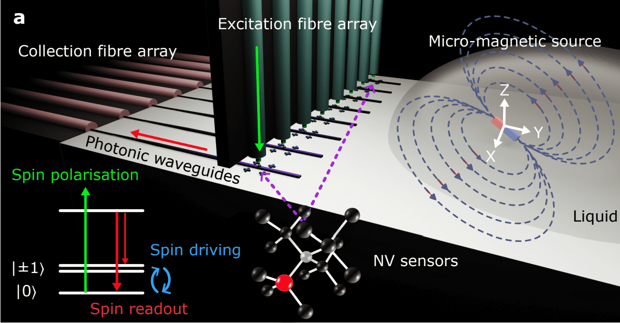 Photonic Quantum Sensor Array with Eight Localised NVs Achieves 30µm Microscale Magnetic Localisation