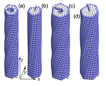 Carbon Nanosprings Exhibit High Thermal Expansion and Structural Deformation Modes