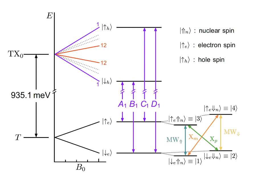 Photon Feedback Boosts Fidelity of Silicon T Center Quantum Gates