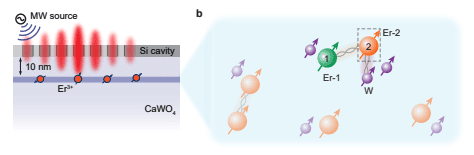 Erbium Ions Enable Coherent Control of Two-Qubit Electron-Electron Gates
