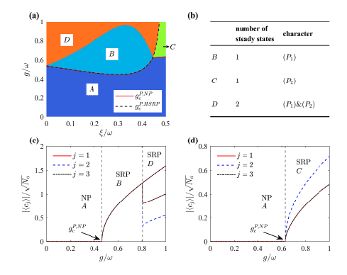 Open Boundaries Induce Diverse Superradiant Phases in Dicke Lattice Model