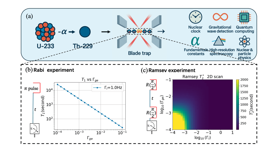 Trapped Thorium-229 Ions Demonstrate High-Fidelity Nuclear Qubits for Quantum Technologies