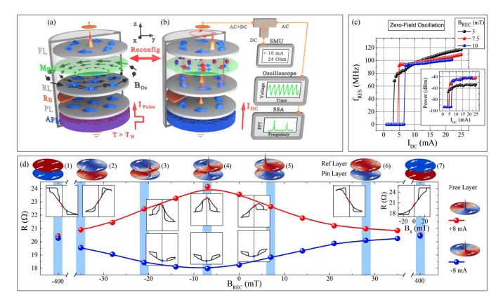 Reconfigurable Reference Layer Induces Vortex States and Modifies Spin Current in MTJs