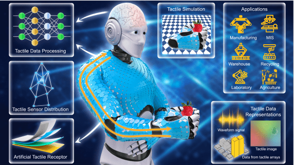 Simulation Tools Advance Distributed Tactile Sensing for Robotic Physical Interaction