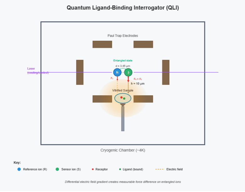 Atomic Ions Detect Receptor Binding, Boosting Drug Discovery