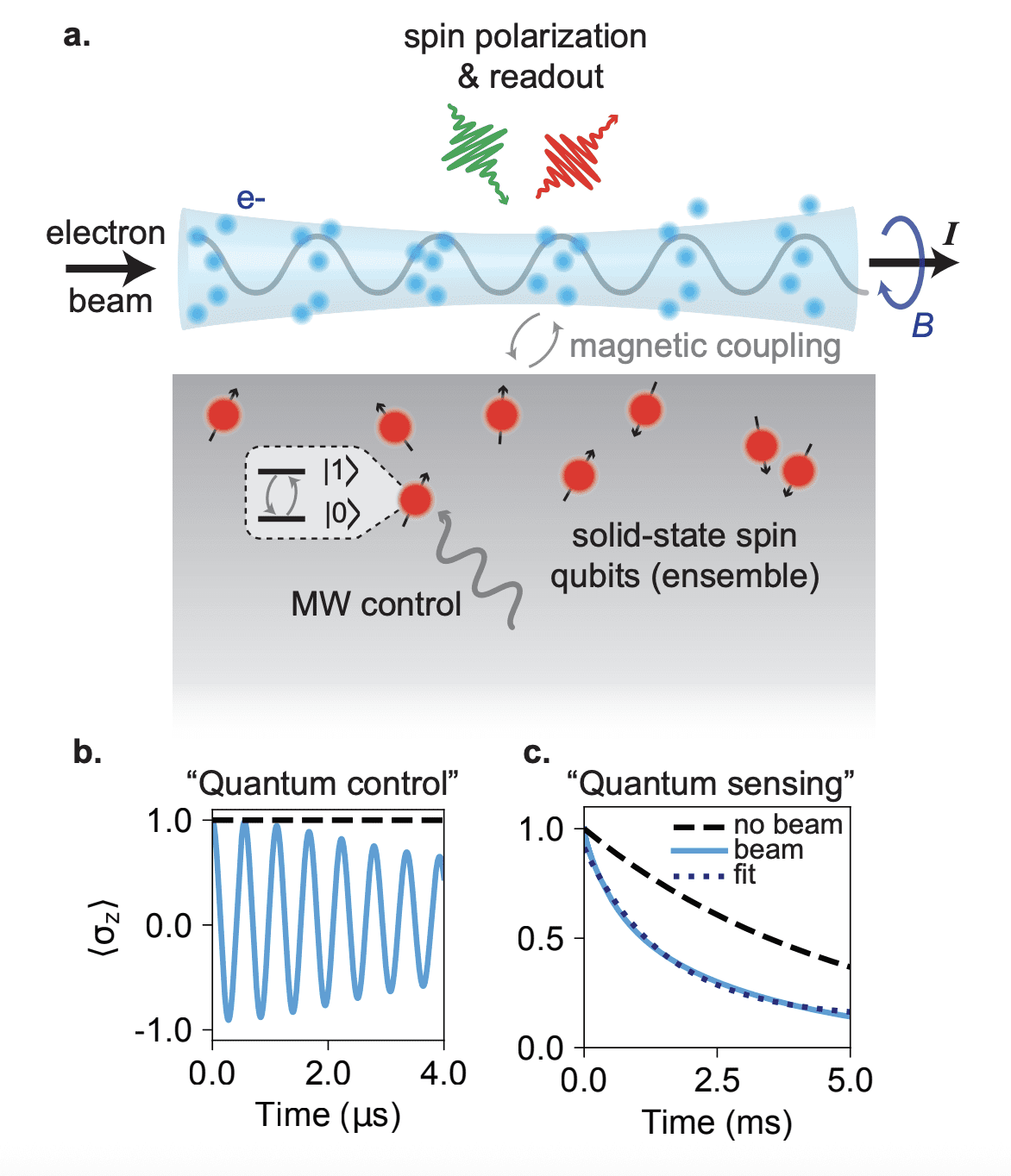 Electrons and Qubits Interact, Boosting Quantum Sensing