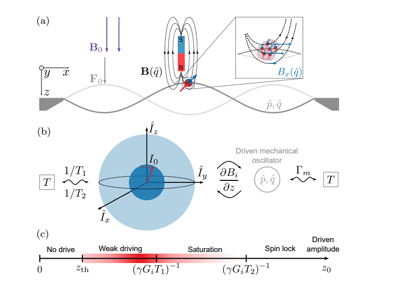 Spins Detected: New Method Boosts Sensor Precision
