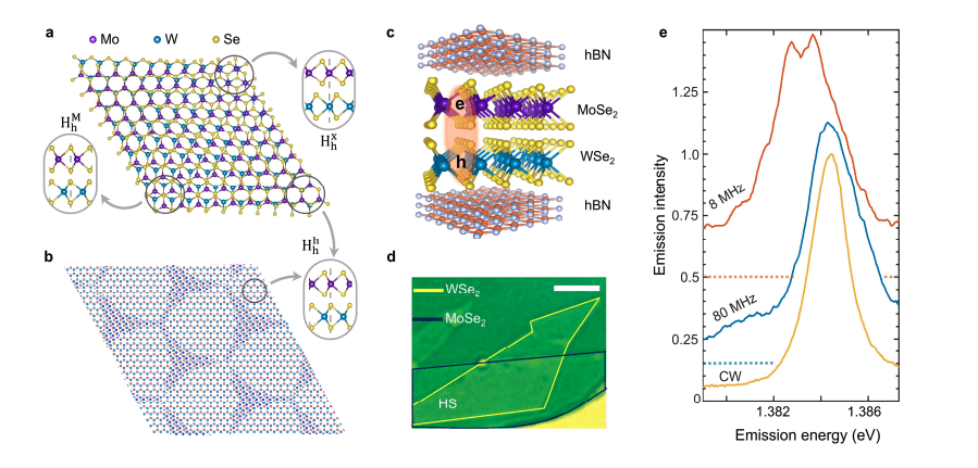 Twisted Heterostructures Confine Interlayer Excitons, Revealing Cascade-Like Transitions and Varied Lifetimes