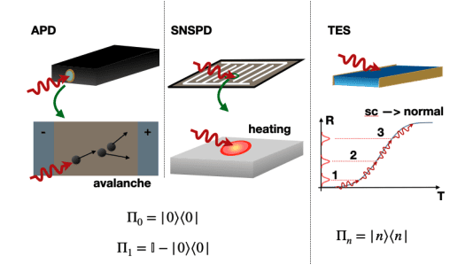 Nonclassical Light Improves Parameter Estimation for Information Treatment Technologies