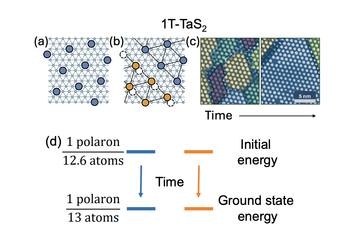 Researchers Reveal Single-polaron Tunneling Dominates Relaxation in 1T-TaS Layered Dichalcogenides