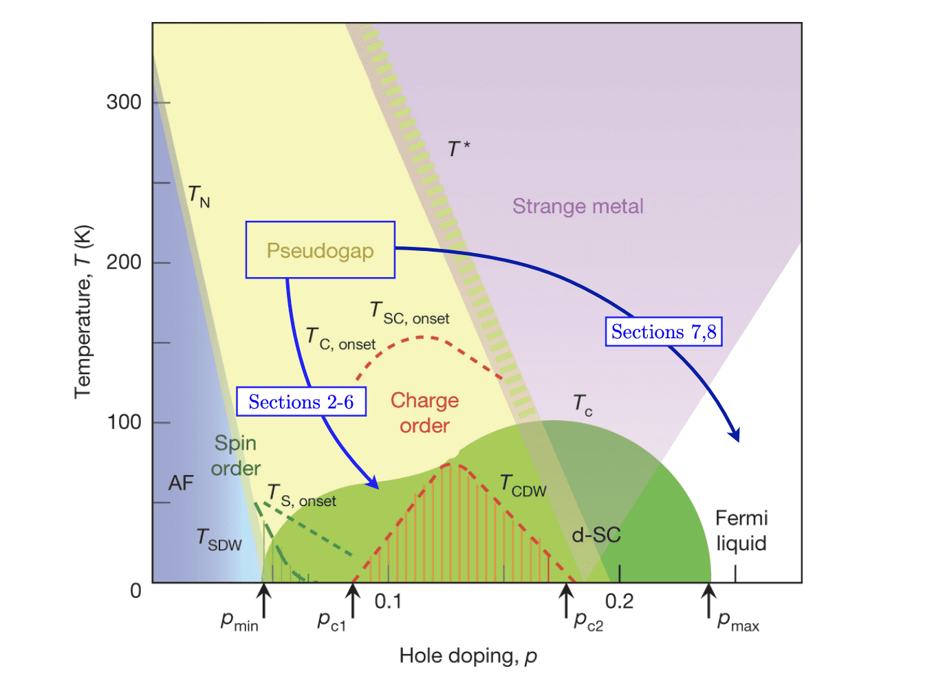 Researchers Unlock Cuprate Superconductivity with a Fractionalized Fermi Liquid and Area Hole Pockets