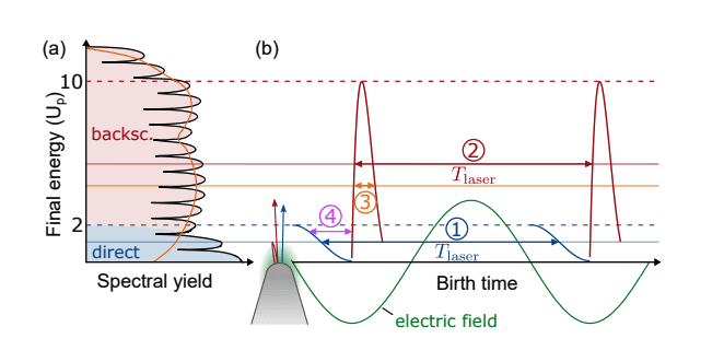 Researchers Reveal Sub-cycle Dynamics in Solids, Uncovering Interference of Electrons with Single-cycle Pulses
