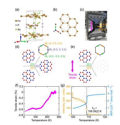 Researchers Reveal 0.6% Strain Induces Symmetry Breaking and Alters Magnetic Order in FePSe