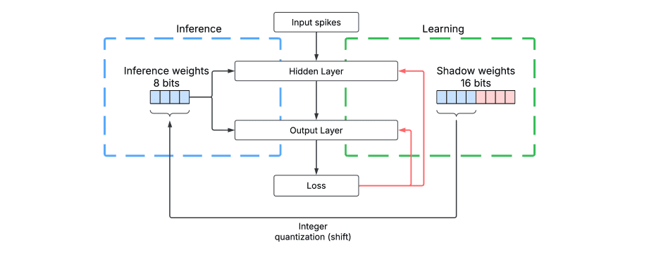 Spiking Neural Networks Achieve 60% Memory Reduction with New Integer-only Online Training