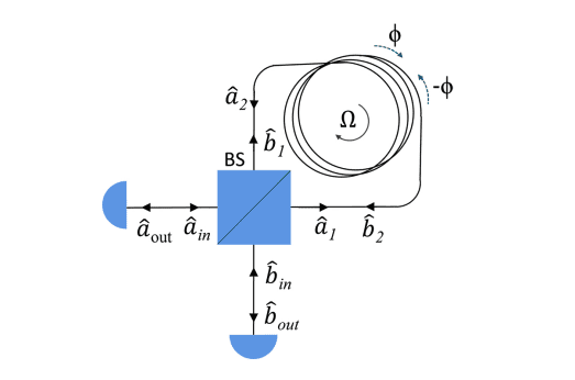 Distributed Sensing with Squeezed States Enhances Angular Velocity Estimation Sensitivity