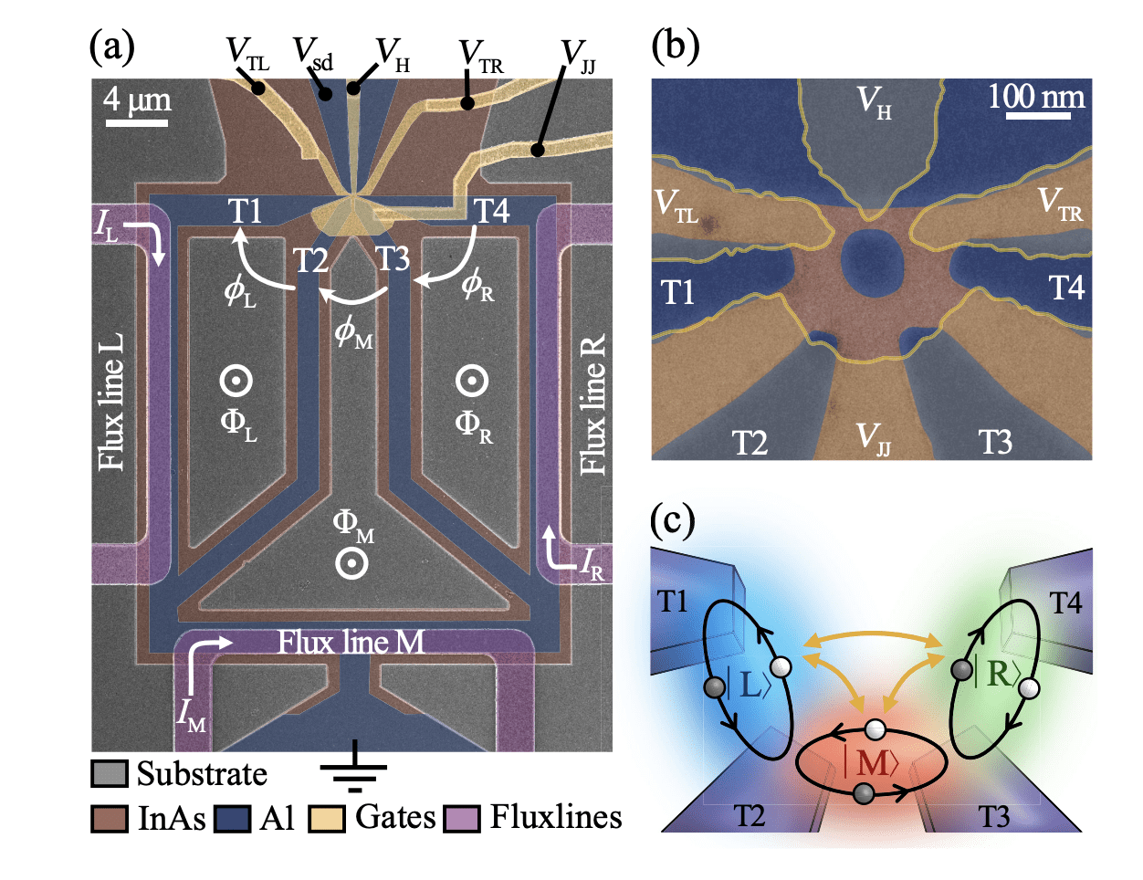 Researchers Realise 3D Band Structure Device, Paving the Way for Topological Quantum Protection