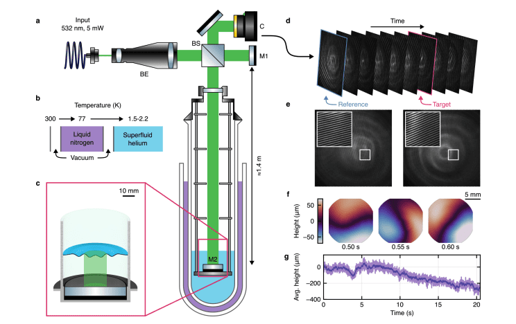 Digital Holography Images Nanometre-to-Micrometre Fluctuations on Superfluid Helium Free Surfaces