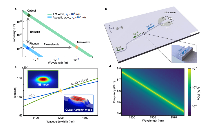 Multi-channel Microwave-to-Optics Conversion Achieves 40nm Bandwidth Using Hybrid Photonic-Phononic Waveguide