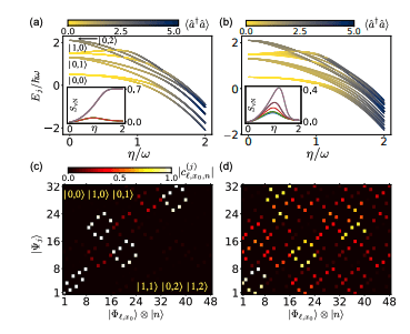 Driven-dissipative Landau Polaritons Demonstrate Two Nonlinearly-Coupled Quantum Harmonic Oscillators