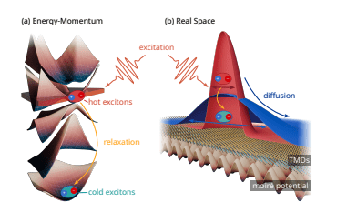 Spatiotemporal Dynamics of Moiré Excitons in Van Der Waals Heterostructures Reveal Complex Thermalization