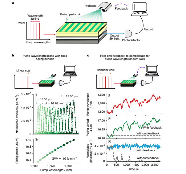 Programmable on-chip nonlinear photonics
