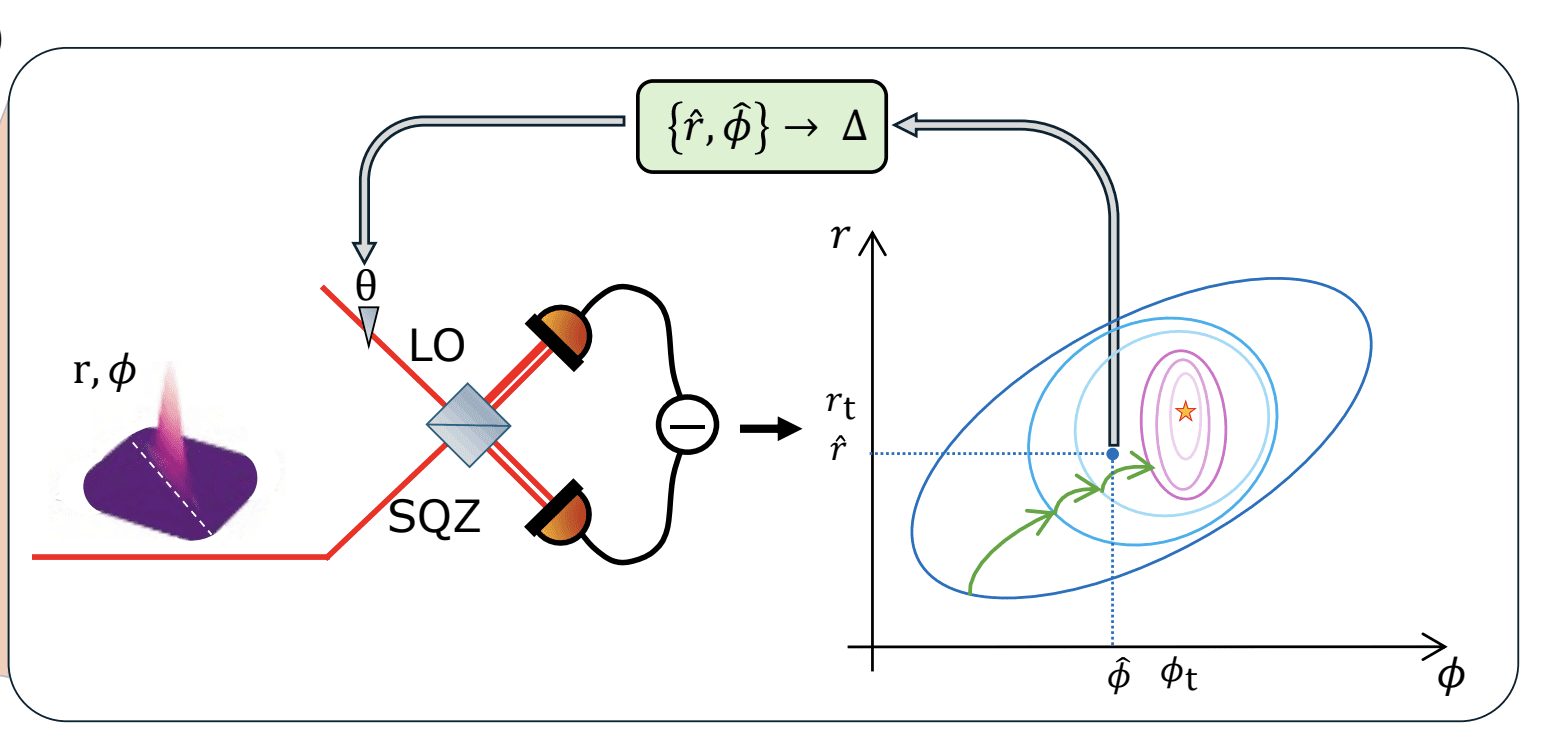 Adaptive Quantum Metrology with Squeezed Light Achieves Sub-Standard Quantum Limit Precision in Full Periodicity Interval