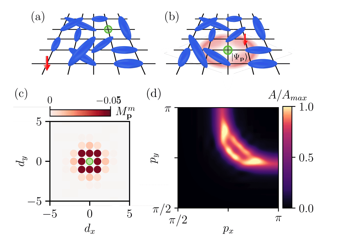 Spin Liquids Unlock New Dynamics For Advanced Material Technologies