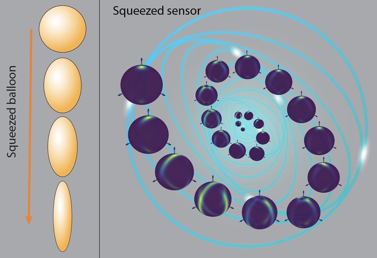 Quantum Squeezing Boosts Measurement Accuracy in Multiple Phases Research