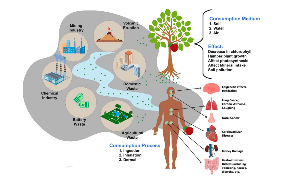 Nickel detection advances environmental and biological health monitoring systems.