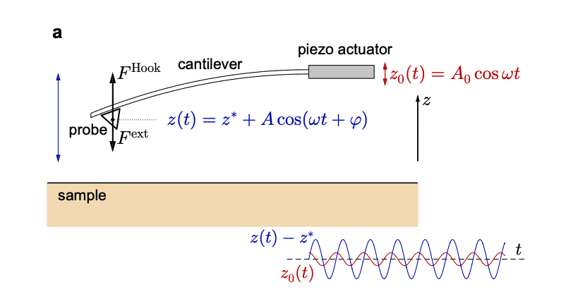 Scanning-vortex microscopy probes superconductivity, reveals magnetic properties of niobium films.