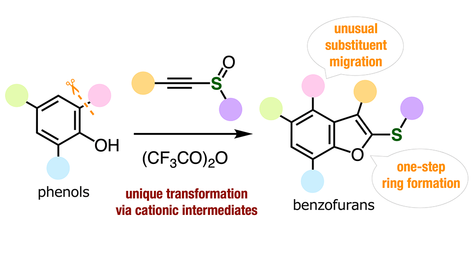 Tokyo Scientists Unlock New Benzofuran Synthesis Method, Paving Way for Advanced Pharmaceuticals